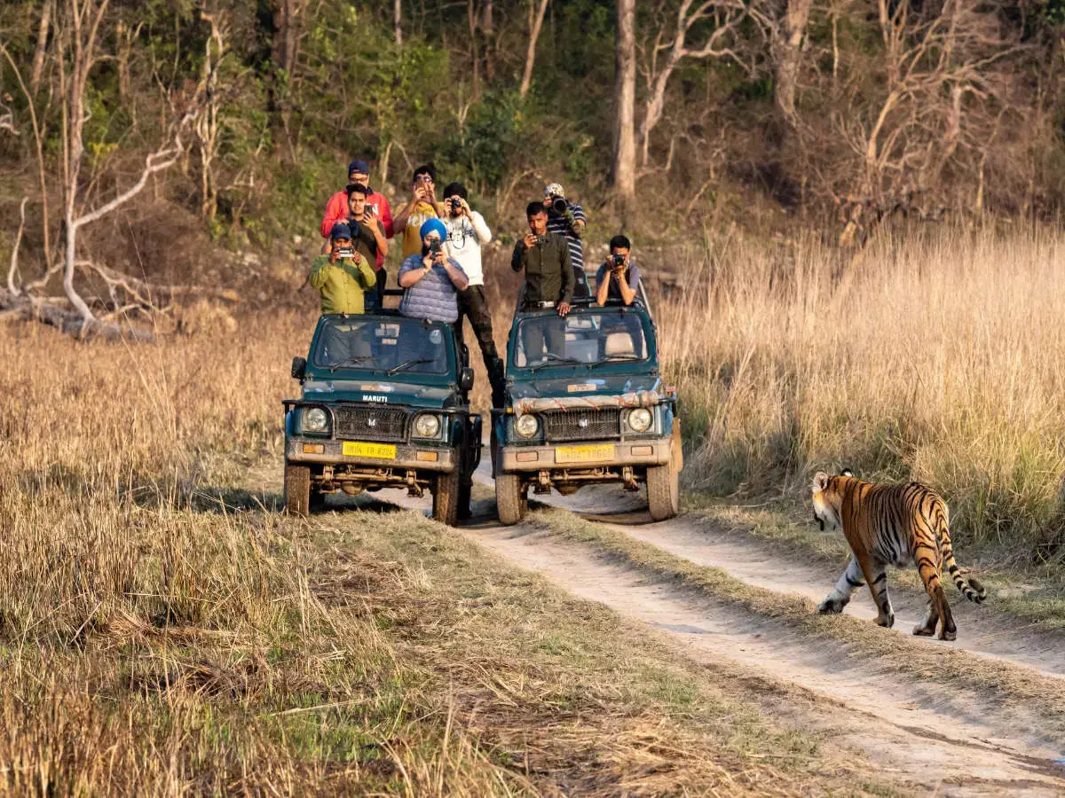 Jim Corbett 3 Nights 4 Days Family Safari Package — Tour Package