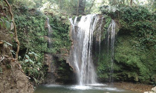 Corbett Waterfall - Places to Visit in Jim Corbett National Park - Gola Holidays - Slide 2